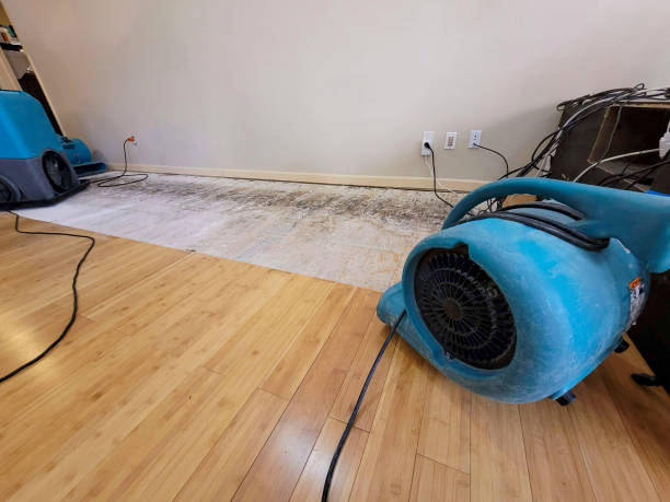 Professional Water Damage Repair technician working in Elkview, WV
